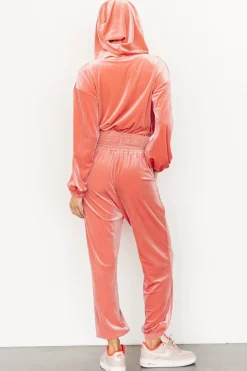 Flash Sale Bewitched Velvet Jogger Pants | pants